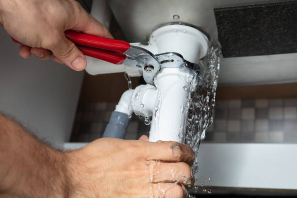 Best Carpet water damage restoration  in Palmetto, FL