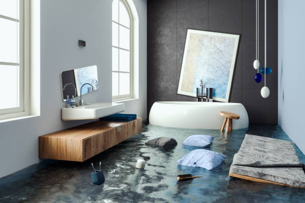 Best Local water damage restoration  in Palmetto, FL