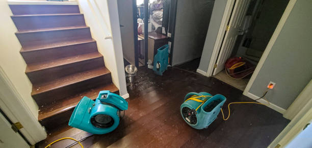 Best 24/7 water damage repair  in Palmetto, FL