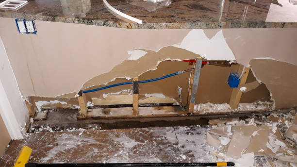 Reliable Palmetto, FL Water damage restoration Solutions